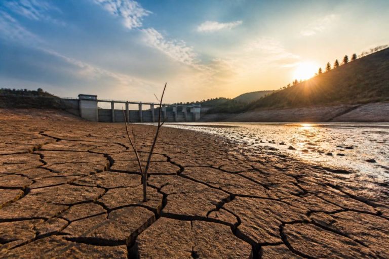 Impact réchauffement climatique : effets visibles et conséquences à venir