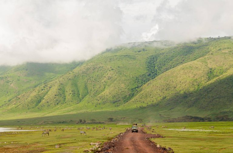 Hors piste tanzanie : découvrir une autre manière de voyager au cœur de la nature